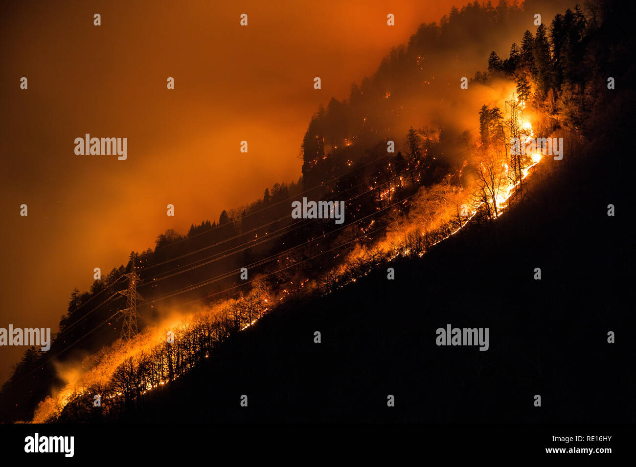 Wald, Feuer und Zerstörung Stockfoto