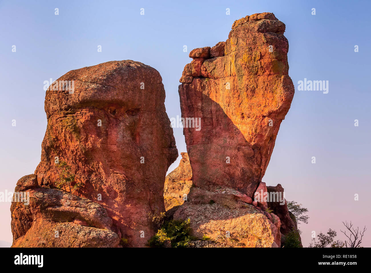 Close-up Belogradchik Felsen Felsen, Natur Edelstein Wahrzeichen, Bulgarien Stockfoto