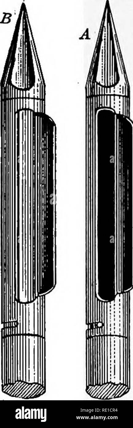 . Ein text-Buch auf die pathogenen Bakterien und Protozoen für Studenten der Medizin und Ärzte. Bakteriologie; pathogenen Bakterien und Protozoen. 2 so Bakteriologie des Bodens die wichtigsten Bakterien des Bodens sind die von Tetanus- und malignem Ödem, zusätzlich zu denen, aber es gibt eine große Vielfalt an Organismen Pathogene für Kaninchen, Meerschweinchen und Mäuse. In Lüge" bakteriologische Untersuchung des Bodens von Philadelphia, "Ravenel * kam zu dem Schluß, daß - 1. Sofls gemacht, wie häufig gefunden, sind reich an organischen Stoffen und übermäßig feuchten durch schlechte Entwässerung. 2. Sie f Stockfoto