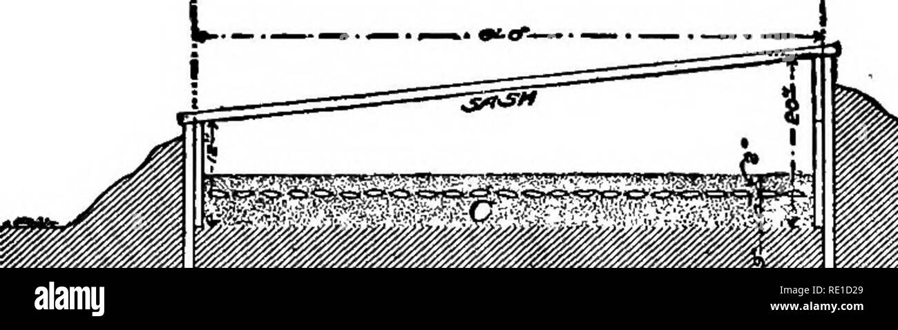 . Gemüseanbau. Gemüseanbau; Projekt Methode in der Lehre. Kulturelle RICHTUNGEN 443 groß genug für Dampf, sofern die Leitungen sind nicht mehr als 60 Fuß in der Länge. Die Linien der Leitung sollten vollständig aufgeladen werden benotet und haben eine einheitliche Fallen auf dem Weg zur Rückkehr Ende; in der Tat, die Regeln für Gewächshaus Heizung ap-ply mit den Leitungen der Betten dieser Art. Eine allgemeine Vorstellung von den Bau einer Rohrleitung - beheizte Bett kann vom Querschnitt shov^rn wie Abbildung 102 gewonnen werden. %1 ^f, Abb. 102. Querschnitt der Leitung - beheizte Rahmen weit im Süden ist es nicht notwendig, jede Art von Protec zur Verfügung zu stellen Stockfoto