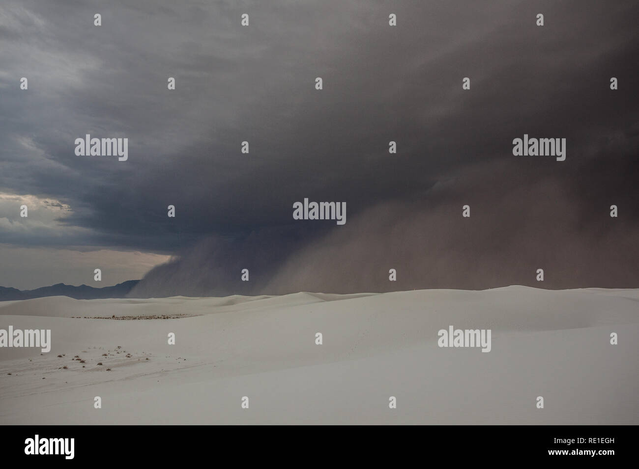 White Sands National Monument, Otero County, New Mexico, USA Stockfoto