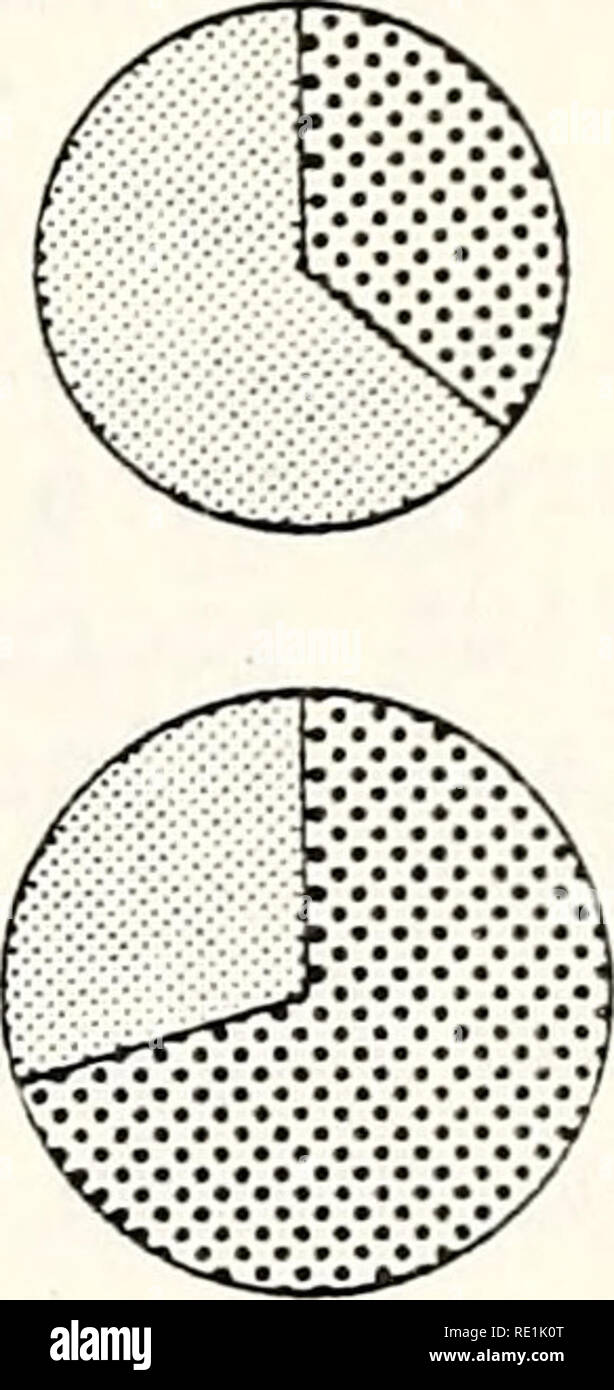 . Ökologische Studie der Amoco Cadiz Ölpest: Bericht des NOAA-CNEXO Gemeinsame wissenschaftliche Kommission. Amoco Cadiz (Schiff); Öl; Ölunfälle. . Bitte beachten Sie, dass diese Bilder sind von der gescannten Seite Bilder, die digital für die Lesbarkeit verbessert haben mögen - Färbung und Aussehen dieser Abbildungen können nicht perfekt dem Original ähneln. extrahiert. NOAA-CNEXO Gemeinsame wissenschaftliche Kommission. [Rockville, MD: US Dept. für Handel, nationale ozeanische und atmosphärische Leitung; [Paris]: Centre national pour l'exploitation des océans Stockfoto