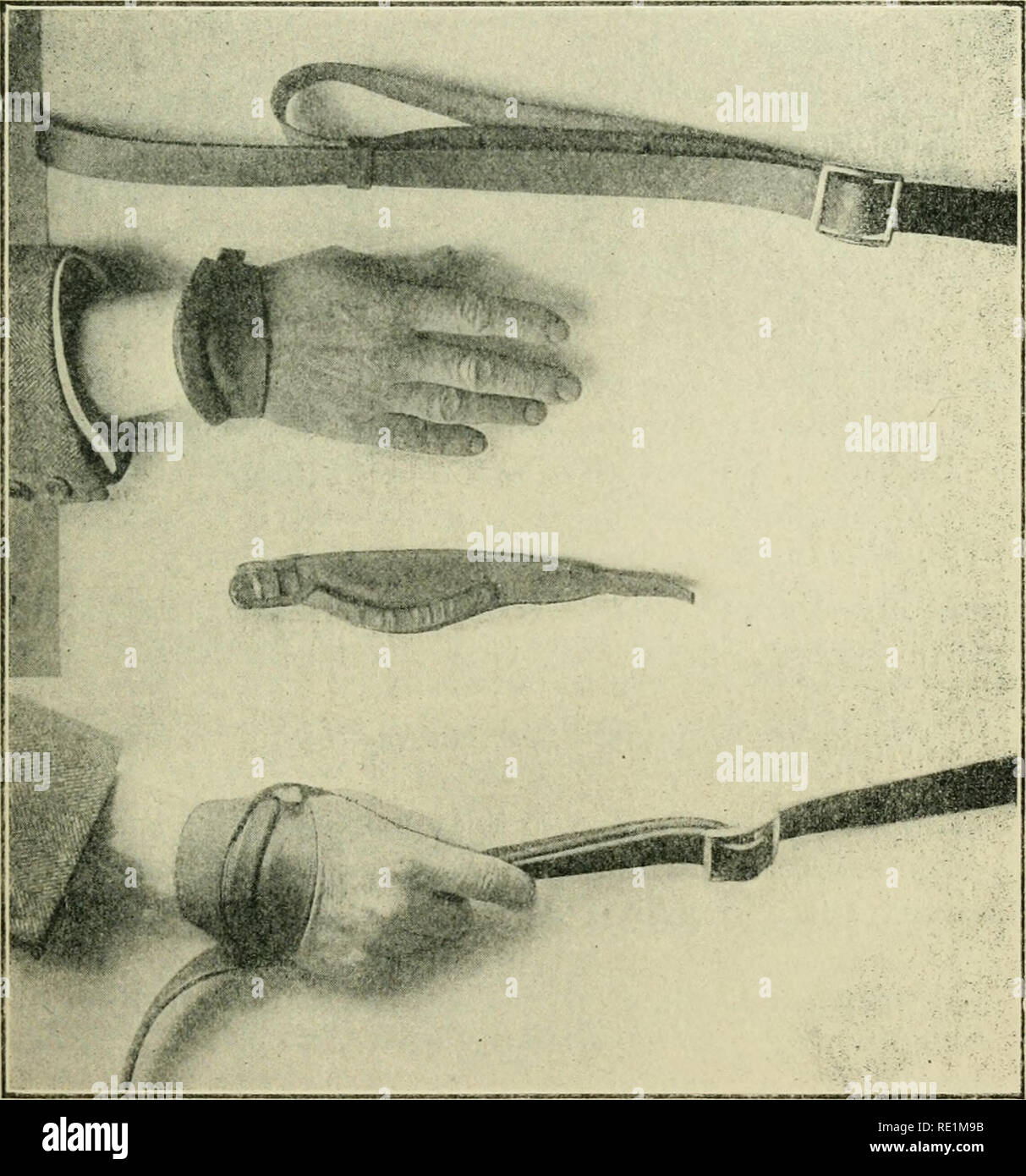 . Die Enzyklopädie des stabil: Ein komplettes Handbuch des Pferdes, seine Rassen, Anatomie, Physiologie, Krankheiten, Zucht, Brechen, Training und Management, mit Artikeln über Kabelbaum farriery, Schlitten, etc. Bestehend aus tausend Tipps für Pferdebesitzer. Pferde. FULSE hoch. Bild Nr. 2 zeigt die Wristlet angeschnallt auf mit der Hand durch die Schlaufe am Zügel, die eng gezogenen I.s. weitergegeben. Durch diese Anordnung der Fahrer zieht durch das Handgelenk, und so gibt es keine Belastung der Finger, die sich für den Einsatz der Peitsche oder Führung der Pferd gelassen werden. (Siehe Bits, Verschraubungen, Nase-Band?} Impuls. - Die Zahl der Stockfoto