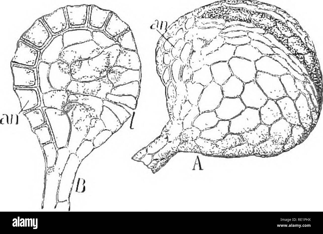 Einfache Stellungen 7 Einfache Yoga