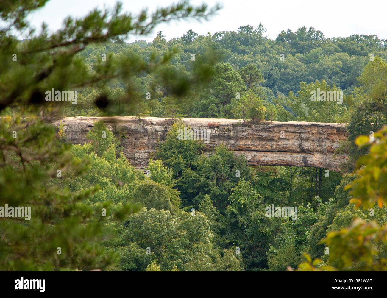 Red River Gorge rock Bridge Stockfoto