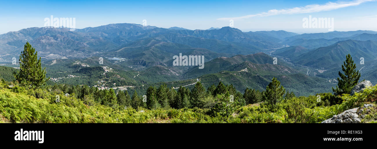 Panoramablick auf den Regionalen Naturpark von Korsika, in Zentral Korsika, an den Hängen des Monte Cardo mit Blick über Casanova. Stockfoto