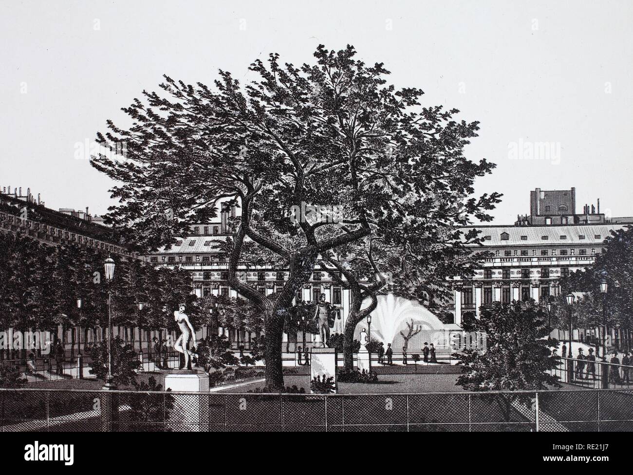 Jardin du Palais Royal, historischen Kupfer-platte Ätzen, um von 1890, Neal's, Paris, Frankreich, Europa Stockfoto