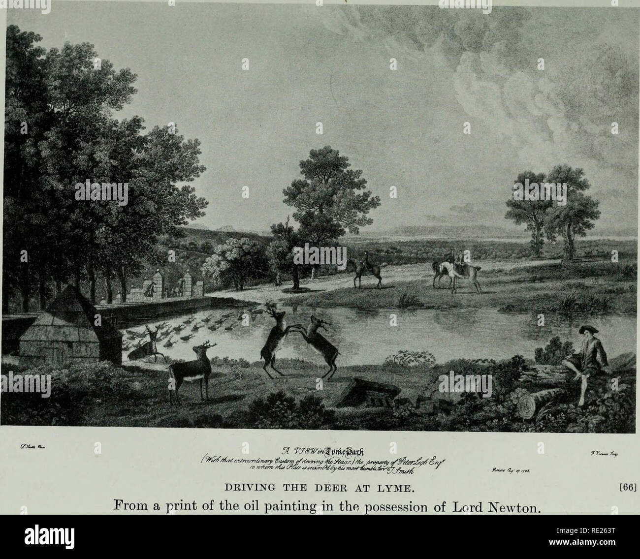 "Die wirbeltierfauna von Cheshire und Liverpool Bay" (1910) Stockfoto