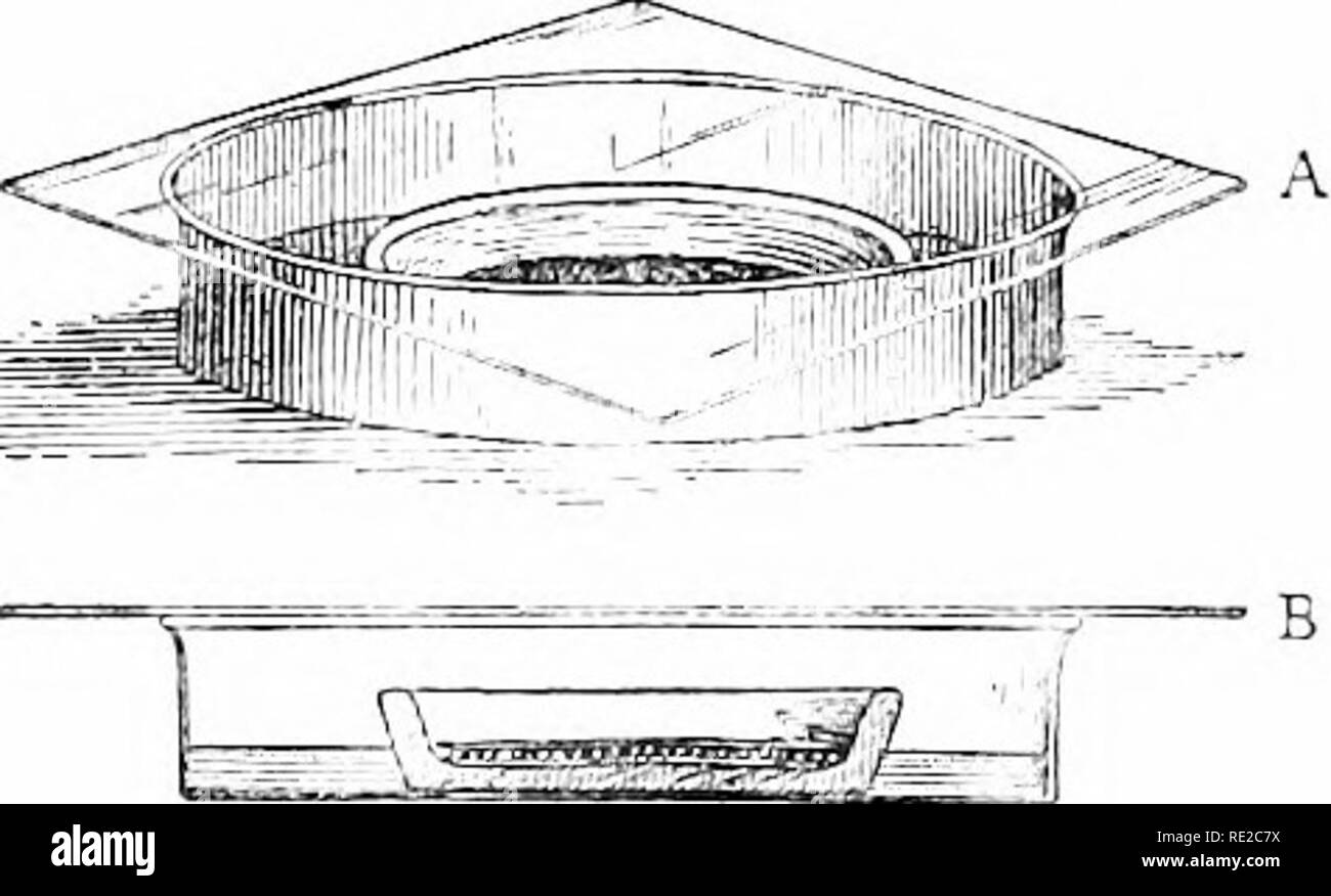 . Cyclopedia der amerikanischen Gartenbau, bestehend aus Anregungen für den Anbau von Gartenpflanzen, Beschreibungen der Arten von Obst, Gemüse, Blumen und Zierpflanzen in den Vereinigten Staaten und in Kanada verkauft, zusammen mit geographischen und Biographische Skizzen. Im Garten arbeiten. 2300. Werkzeug für die Herstellung von Gips keimen Gerichte und eine Petrischale. Vor allem der Wiese fox-Schwanz, awn: iless Brome und Vel-vet Gras, Gebrauch von diesen einfachen Test zu machen. Für laitora - tory Zwecke der Spiegelbox ist stark preferrt-d, da der Samen viel besser behandelt werden kann, wenn trocken. Testen von Rindfleisch Stockfoto