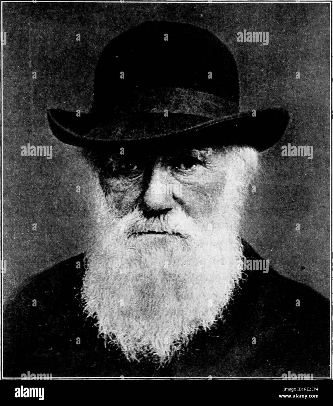 Charles Darwin Origin Of Species Stockfotos und bilder Kaufen Seite