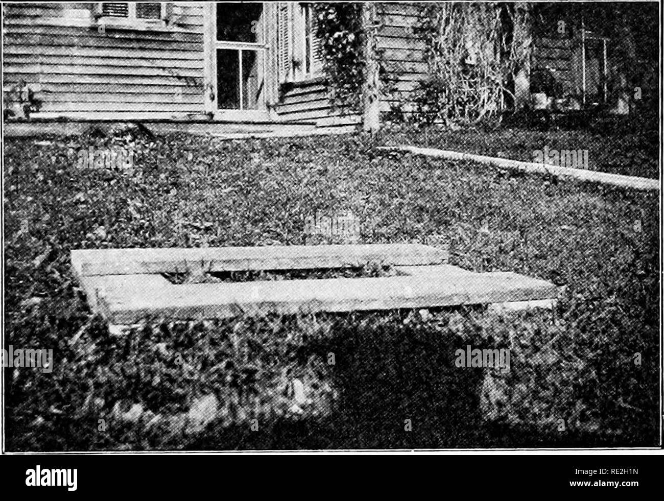 . Fünfzig Jahre unter den Bienen. Bienen. Fünfzig Jahre UNTER DEN BIENEN 123 unzuverlässig, als es war vor Jahren. Einige Jahre gibt es eine profu-sion von Clover blühen, aber es scheint keinen Nektar, in ihm zu sein. Als Ausgleich, ich glaube, es gibt mehr fallen Weideland als Formei' Ly. Ein Grund dafür ist, dass zwei piekle-Fabriken sind bei Marengo befindet, und meine Bienen haben im Lauf von ein oder zwei hundert Morgen von Gurken. Und doch muss ich gestehen, dass ich nicht einmal sicher, welcher Gurke Honig ist. Manchmal ist der Honig gespeichert, die zum Zeitpunkt der Gurken Blüte ist anstößig im Aroma, und manchmal auch der Geschmack ist fein. T Stockfoto