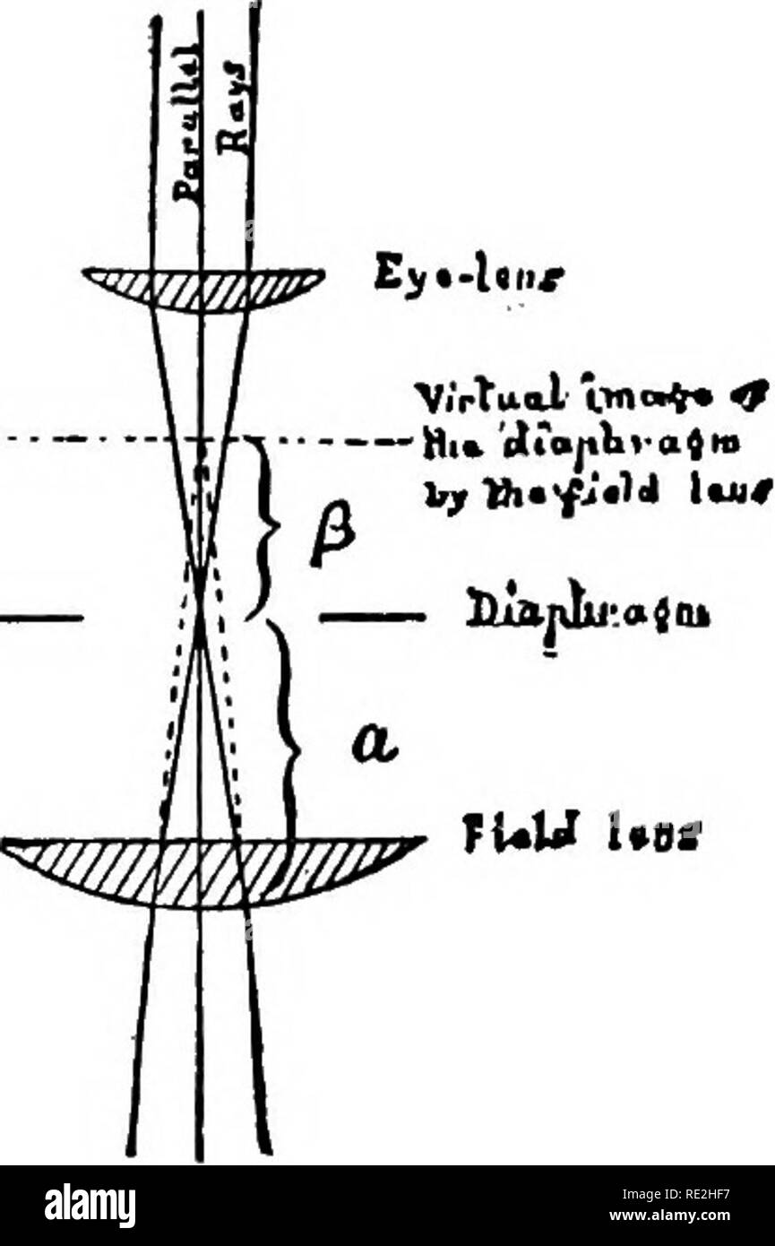 . Das Mikroskop; eine Einführung in die mikroskopische Methoden und Histologie. Mikroskope. 310 Gleichheit - FOCAL OKULARE UND ZIELE CCh. IX" Jena, 2. Juni Sth, 1881. Sehr geehrter Herr: Die Frage, die Sie stellen läßt eine einfache Antwort: Um die Okulare der Micro zu ändern - Umfang ohne Änderung der Schwerpunkt der Zielsetzung, weder die dia-phragm noch die Feld-Linse muss an der gleichen Stelle im Micro-tube fertig zu werden, aber die vordere (untere) Schwerpunkte der okulären Systeme müssen dies tun. Im Falle einer Huygenian eye-stück, das sagte anterior Fokus virtuell ist über dem Feld aufgestellt - objektiv eine Stockfoto