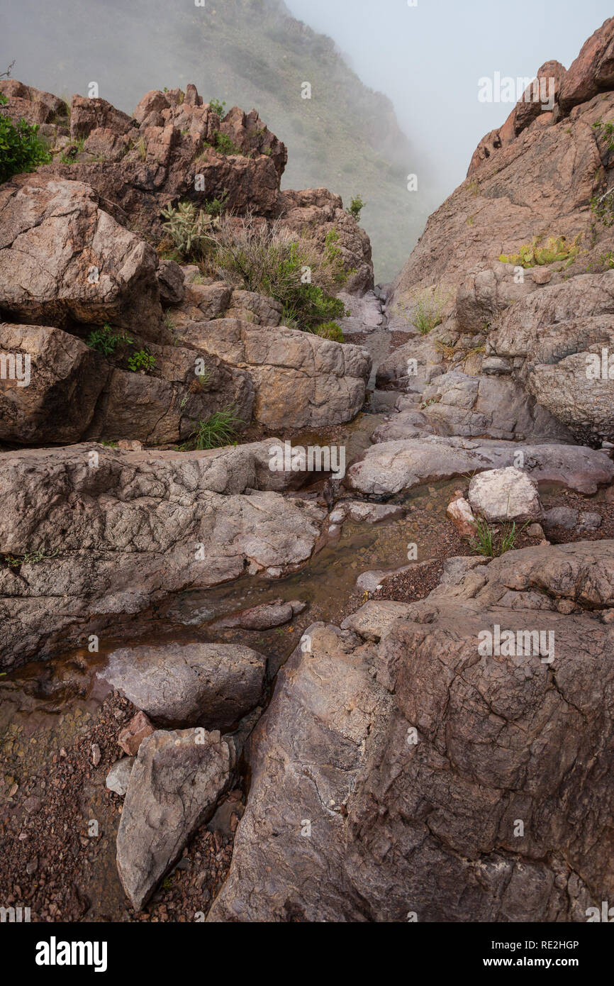 Orgel Berge, Dona Ana County, New Mexico, USA Stockfoto