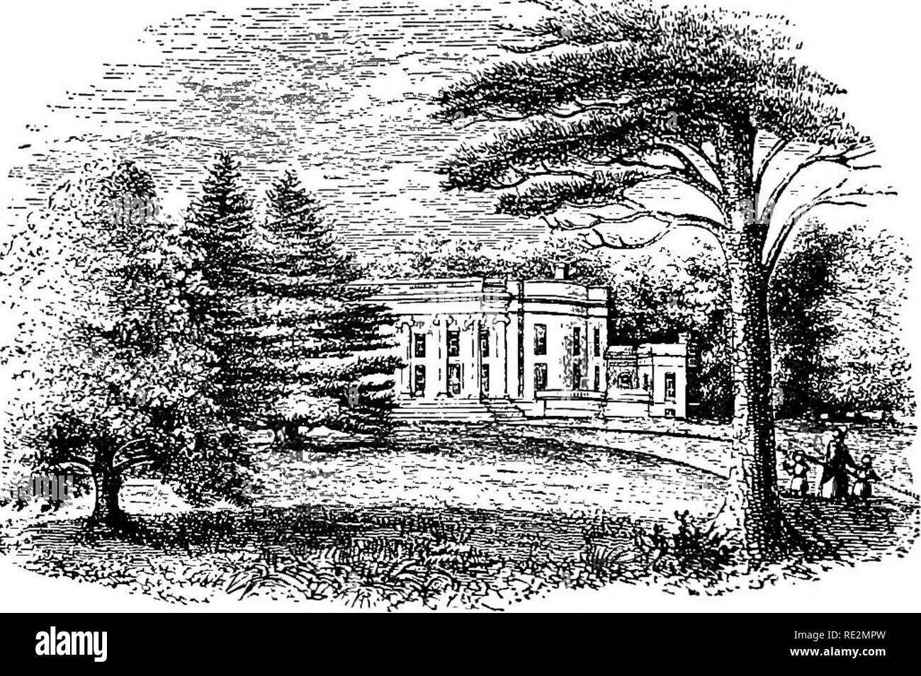 . Amerikanische Gartenbau Handbuch... Gartenarbeit; Gartenbau; Obst - Kultur. 330 GARTENBAU HANDBUCH. Wesentliche Helfer, aber der Eigentümer muss entscheiden, in der Regel am weltspeiseölverbrauchs der Lage, seiner Erreichbarkeit, seiner Kapazität zur Verbesserung zu einem bestimmten Preis, die Eignung des Bodens für Baum-, Strauch-, und Gras, das Zeichen des Wassers, und die sozialen und andere Vorteile. Die pre-C-55/01 Kapiteln dieses Buches werden Hinweise auf trans-Pflanzen, Beschneiden und selbst die Vermehrung, Beschneiden, und das Management von Sträuchern, kleinen Früchten, und Obstgarten. Schwein. 87. - Das Herrenhaus von Livingston. Früchte. Stockfoto