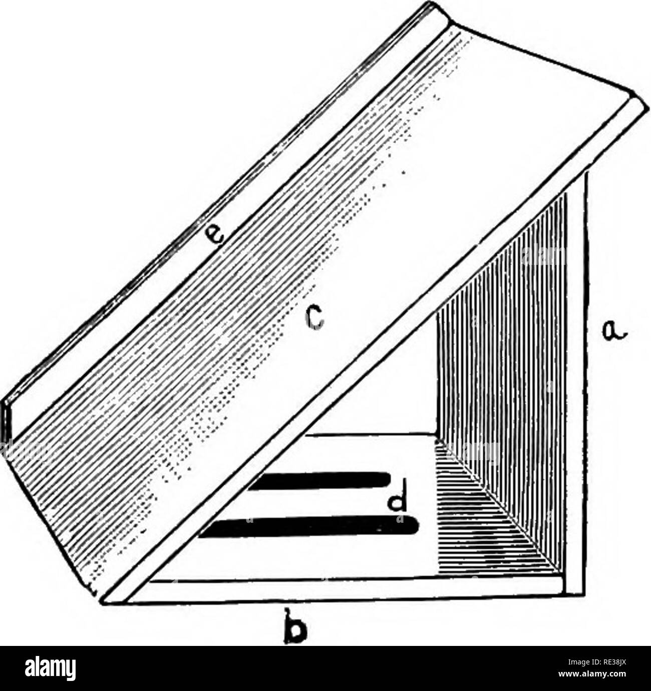 . Handbuch der Imkerei. Bienen. 126 HANDBUCH DES Al'auch. bewegen, wenn der Bienenstock, ist umgezogen. Aber mit Ihrer verwenden wir nicht verpflichtet sind, den Rahmen zu lösen, und es nicht so wahrscheinlich, dass die Bienen zu reizen, während Sie eine Prüfung der Con-Zelten der Hive, die Argumente mit mir schlüssig sind. Wer ist nicht ein erfahrener Mechaniker, vor allem, wenn Er nicht ein Summen - sah, der Seiten seines Nesselsucht nach dem Stil der Gemeinsamen trocken - waren Boxen (Bild besser war. 30). In diesem Fall werden die Seiten nicht rabbeted Projekt sollte durch, sonst die Ecken müssen gestoppt werden, wo Sie Rabbeted waren. Die m Stockfoto