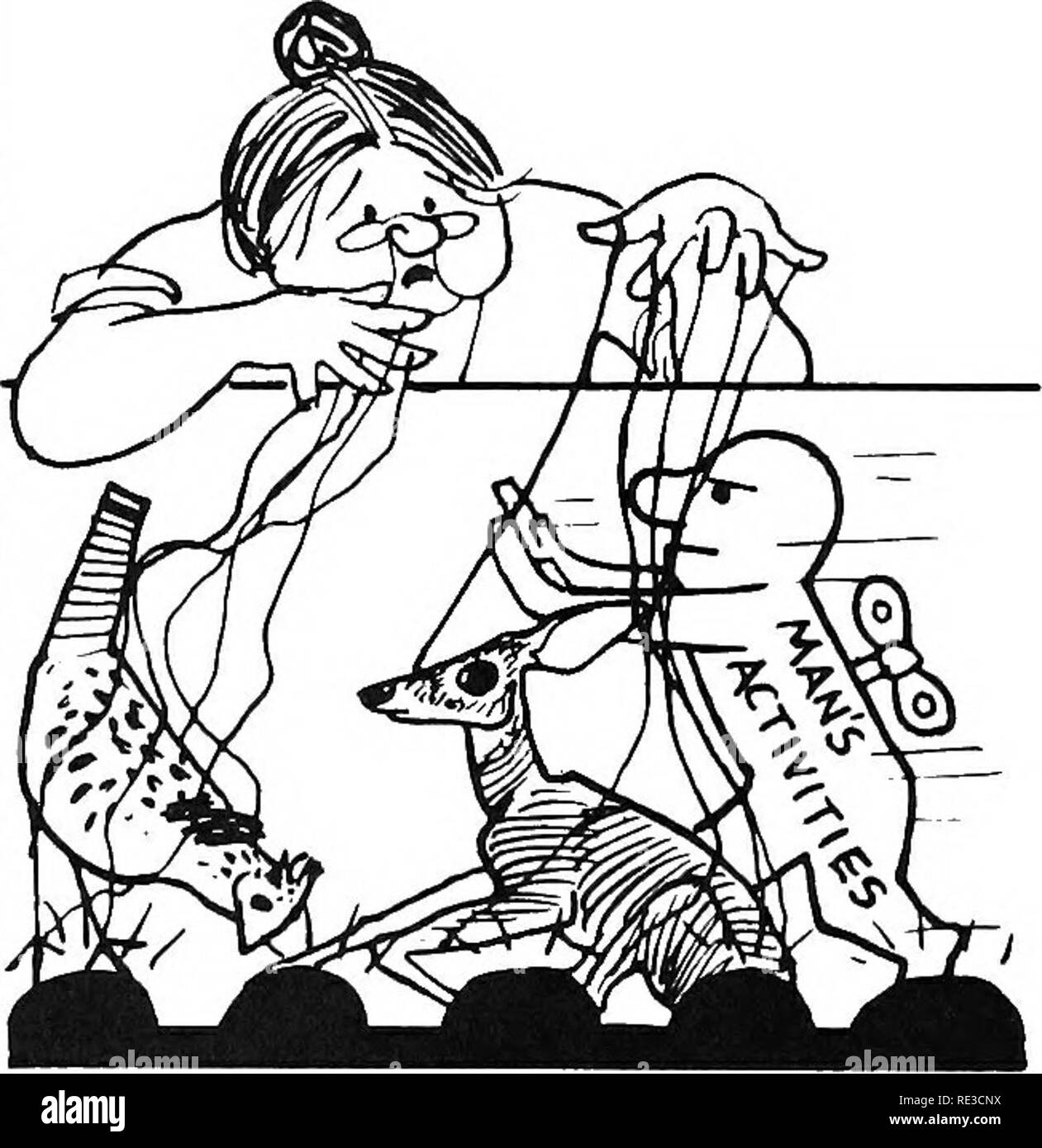 . Inverkehrbringen American wildlife management in der Perspektive. Wildlife Management. FMM UND SEINE ACTlVIKe: ^haben IMTEPROPTED WILDLIFE ^ natürliche cyCLK AMD SYST 1 E^ als. Weide verbessern können Bedingungen für einige Tiere, aber Überweidung Die meisten Wildtiere Verwendung ausschließen kann, oft für viele Jahre. Große Bürste - Clearing zu Gunsten Gräser können Lebensmittel und Abdeckung von vielen Vögeln und Säugetieren überflüssig. Die moderne Technik hat eine breite Palette von Schadstoffen, mit denen wild lebende Tiere zu kämpfen. Einige, wie bestimmte Schädlingsbekämpfungsmittel und Quecksilber, töten direkt. Andere, wie DDT, betreiben mehr subtil auf die Tiere "r Stockfoto