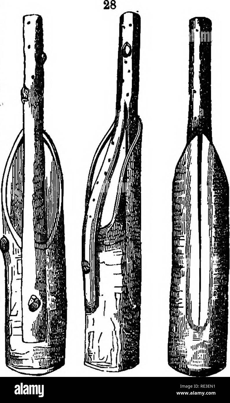 . Die Theorie der Gartenbau; oder der Versuch, die wichtigsten Operationen der Gartenarbeit zu erklären, die auf physiologischen Prinzipien. Pflanzenphysiologie; Gartenarbeit. Der Vermehrung durch Pfropfung. 219 Der Bestand nur in der Zeit, in der die Bildung einer neuen internen Schicht von Rinde beginnt im Frühjahr; und die Flüssigkeit, die in dieser Schicht von Rinde erzeugt, und die Feeds auch die eingefügten Graft, strahlt in alle Richtungen aus der Umgebung der Medulla, die die Außenfläche des alburnum. Das Transplantat wird natürlich vorteilhaft, wenn es die größte Oberfläche stellt eine solche Flüssigkeit zu erhalten. Stockfoto