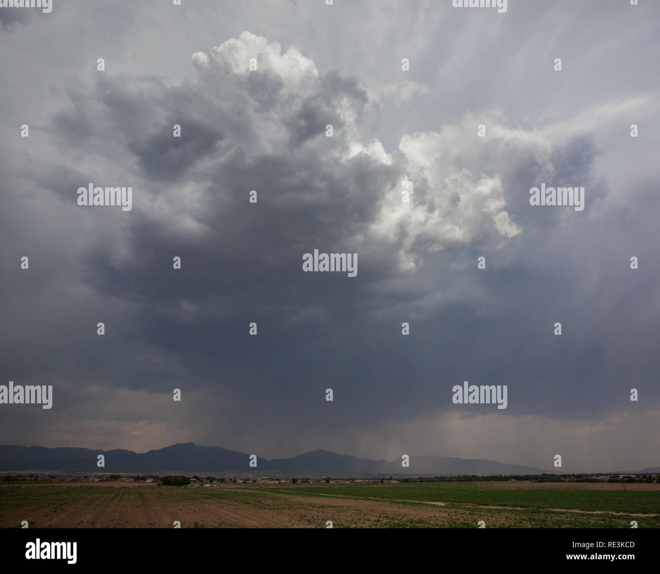 Santa Teresa, Dona Ana County, New Mexico, USA Stockfoto