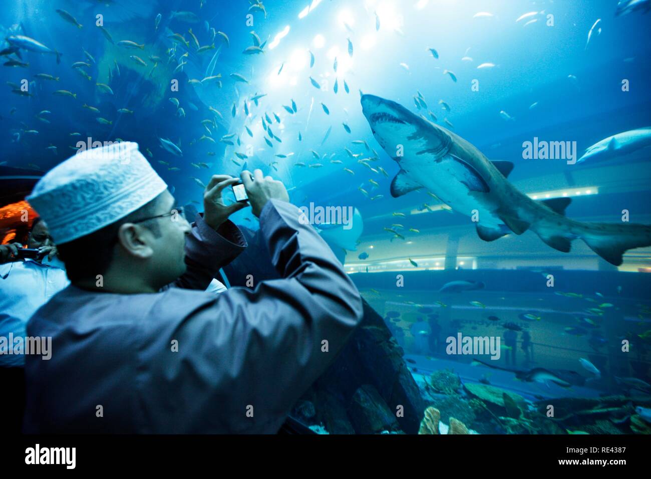 Besucher die Bilder in das Dubai Aquarium und der Unterwasser Zoo an der Dubai Mall, Dubai, Vereinigte Arabische Emirate, Naher Osten Stockfoto