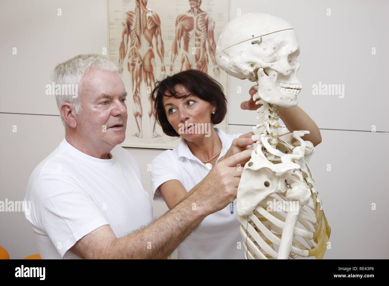 Therapeut einen Patienten zu erklären, das anatomische Grundlage für physikalische Therapie, basierend auf ein Skelett, Physikalische Therapie Abteilung in Stockfoto