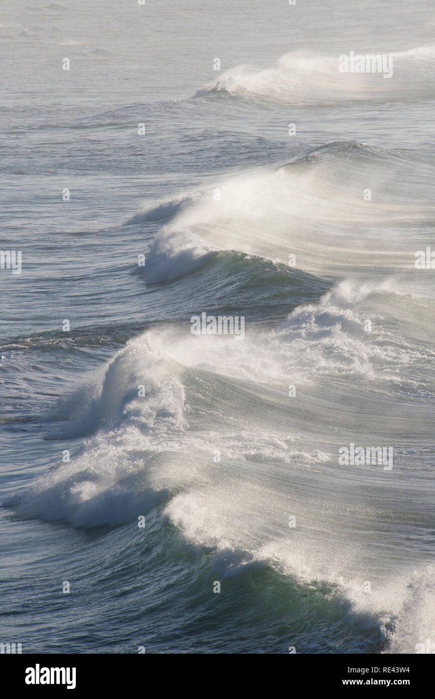 Januar Surfen in Godrevy, Cornwall, Großbritannien Stockfoto