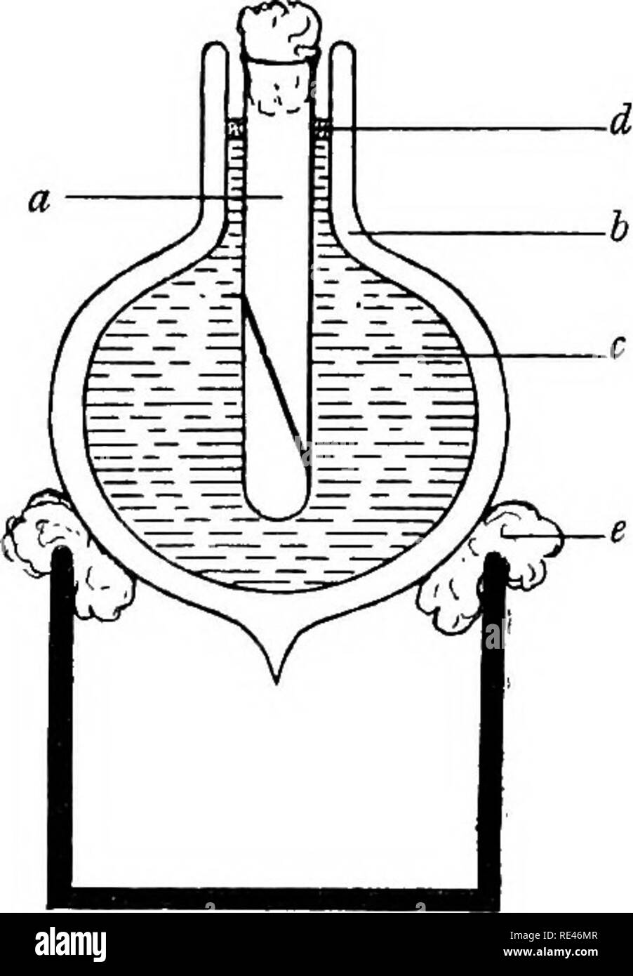 . Klinische Bakteriologie und Hämatologie für Praktiker. Bakteriologie; Hämatologie. 22 klinische Bakteriologie und Hämatologie, beschleunigt den Prozess der Kühlung). Wasser und Kultur - Rohr kühlen sehr langsam, und die meisten pathogenen Organismen wird ein ausgezeichnetes Wachstum geben, bevor es passiert. Der dewargefäß sollte eine Kapazität von 600 c.c. und einem Innendurchmesser am Hals ich Zoll oder so. Es kann auf einer jam unterstützt werden - Topf mit einer Schicht aus Watte um den Hals. Ich finde es mit der Rate von etwa der Hälfte oder zwei Drittel der kühlt ein Grad pro Stunde. Der Autor einmal gelungen, einen Diag Stockfoto