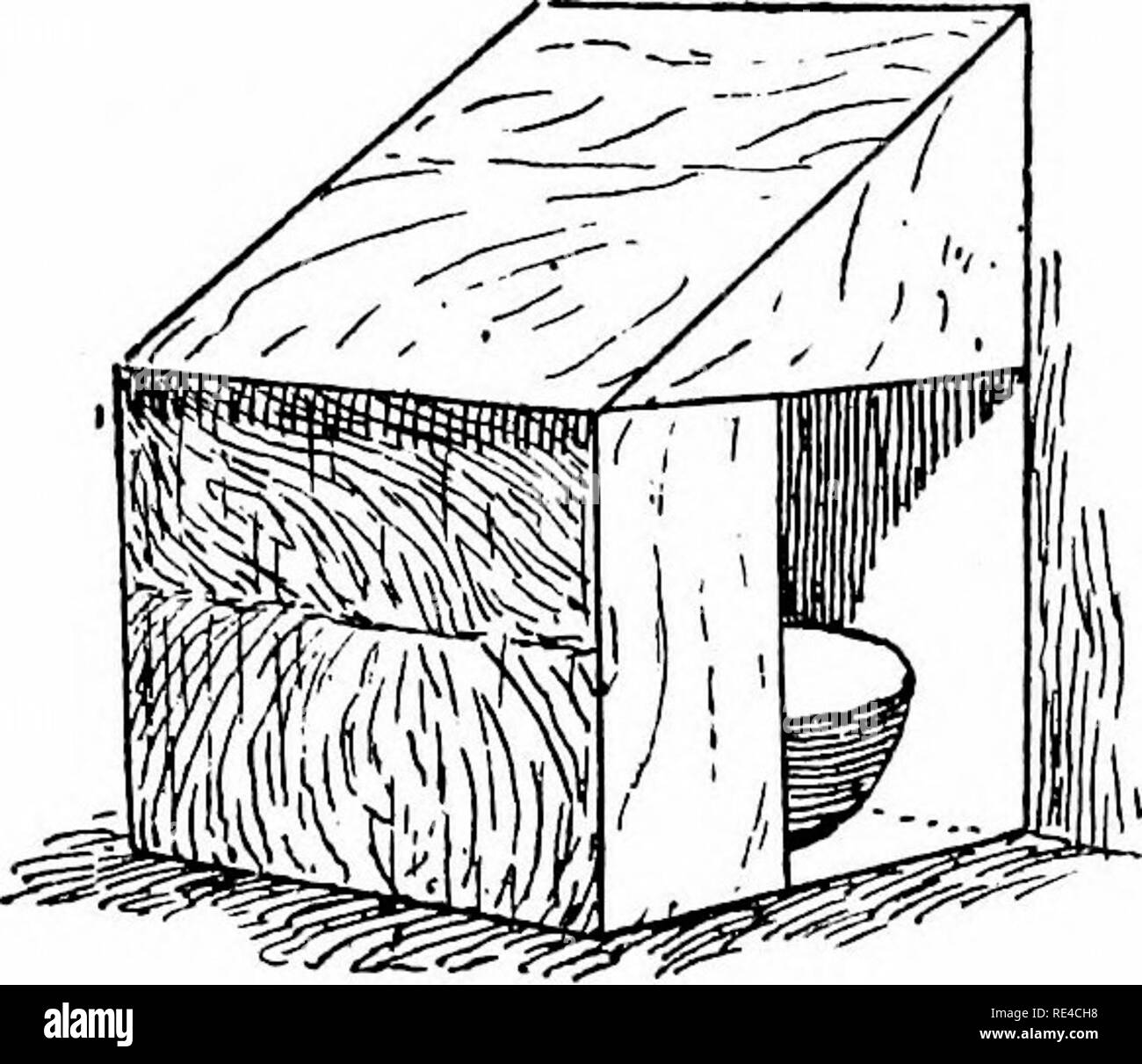 . Tauben und alles über Sie. Tauben. Gehäuse. 21 Sagen drei Mäntel, und einen frischen Anstrich nach jeder herbstlichen Reinigung gegeben. In der Flüge die beste Art der Barsch ist ein langes schmales Regal läuft die ganze Länge des Fluges auf beiden Seiten. Dieses Regal sollte etwa 3 cm breit und 1 cm in der Stärke. Solch ein Barsch kann im Rahmen des Flic^ht von Bügeleisen Klammern angebracht werden, sollte aber aus gehalten werden, um die Kabel oder Schwänze der Vögel beschädigt werden. Eine alte IDE. 4. Moore's "columbarium", 1735 veröffentlicht, Folgendes auf "die Methode der Aufbau einer Loft" - "ein Pige Stockfoto