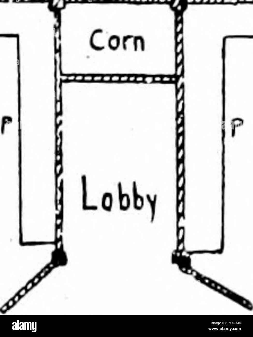 . Tauben und alles über Sie. Tauben. Gehäuse. 5 Beratung und Unterstützung von einigen alten Maniac, wird es Sae nicht nur Geld, sondern viel Sorge und Verärgerung. Wohnen in SUBURBIA. Ich jetzt an die Maniac, der privilegierten in den Vororten von einer unserer großen Städte zu leben, oder das Land, und wer hat das Kommando über eine Ummauerte. iqKl Grundriss von Double-flighted Lean-Voliere. Garten. Ein Garten Wand ist in solchen Fällen nützlich. Es lässt sich eine Taube Haus mit Wirtschaft und Kapital gebaut wird. Ich habe gesehen, wie Hunderte von Bewundernswertesten wenig mager - zu Gebäuden in den Gärten errichtet Stockfoto