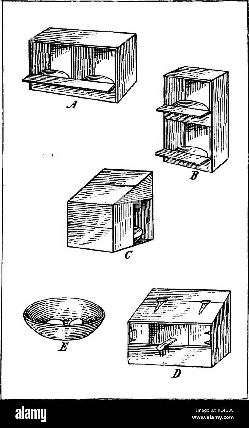 . Die Feder praktische Taube Buch. Tauben. Pläne VON NESTERN A. Paar horizontale Nester. B. Paar vertikale Nester. C. in der Einzigen überdachten Nest. D. Doppelt abgedeckt Nest. E. in der Nest-pan. 39. Bitte beachten Sie, dass diese Bilder sind von der gescannten Seite Bilder, die digital für die Lesbarkeit verbessert haben mögen - Färbung und Aussehen dieser Abbildungen können nicht perfekt dem Original ähneln. extrahiert. Lange, J. C. Washington, D.C., Geo. E. Howard Stockfoto