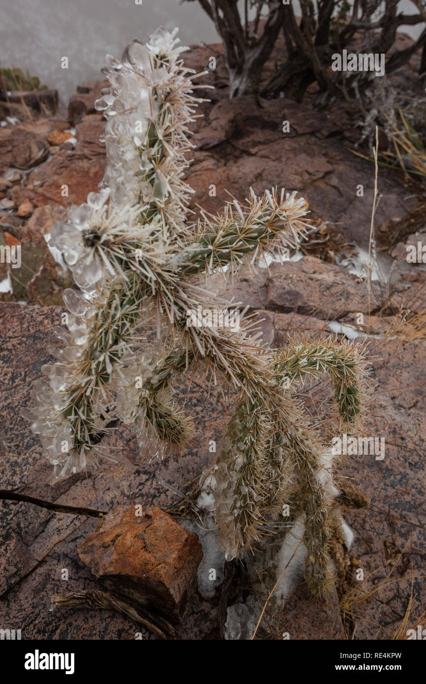 , Dona Ana County, New Mexico, USA Stockfoto