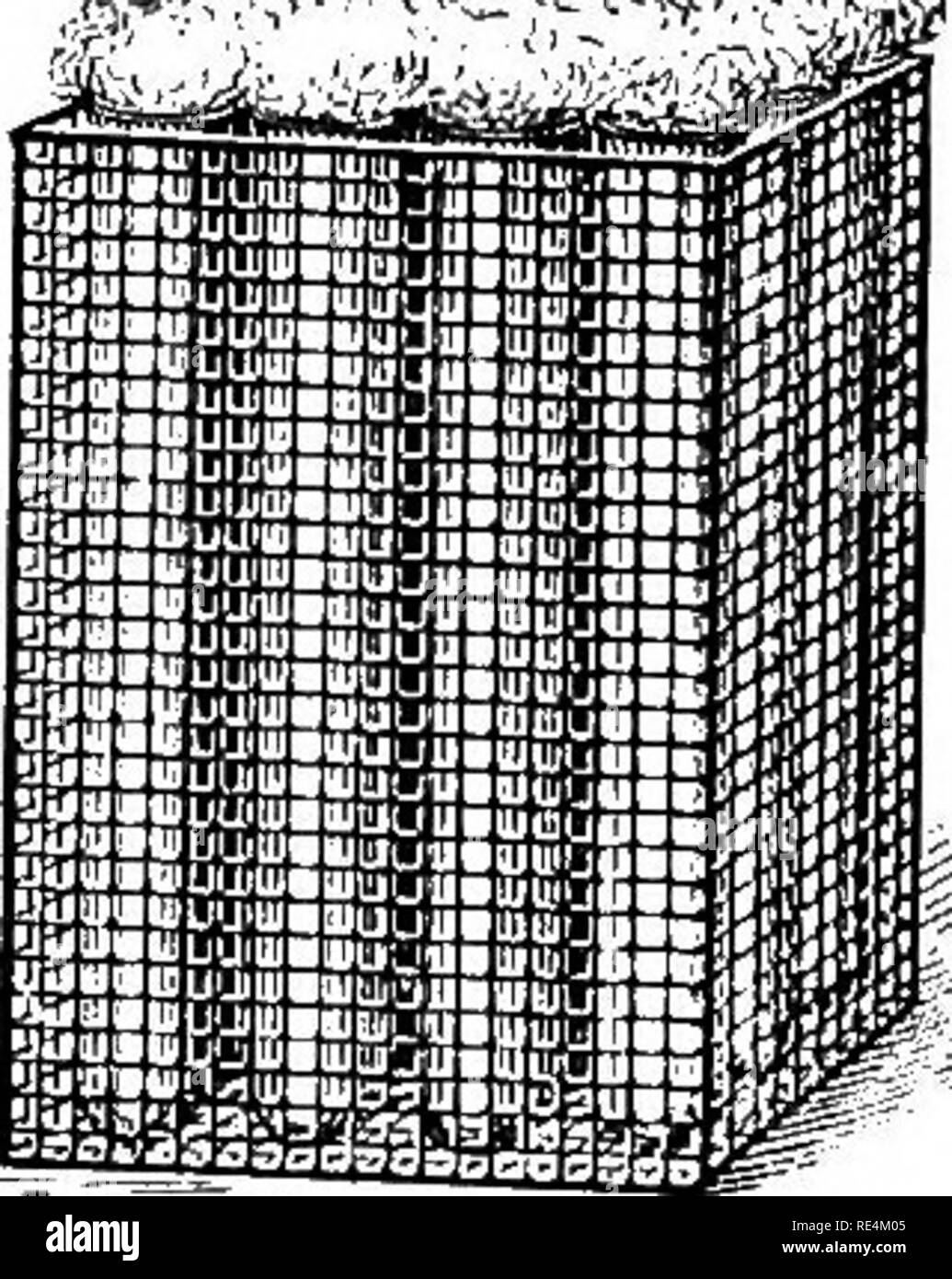 . Pharmazeutische Bakteriologie, mit besonderem Bezug auf die Desinfektion und Sterilisation. Die Bakteriologie. TT u?"? T) Ich^^ Körbe für holdmg Röhrchen. Zylindrische Form und quadratische Form. Jeder Korb hält ungefähr 50 Röhrchen. Der Draht ist verzinkt, um Rostbildung zu verhindern. Die runde Drahtkörbe verwendet werden. In dieser Lösung' für einige Zeit, einige Stunden oder mehr, und spülen, waschen, abtropfen lassen und danach gründlich abwischen. Das einzige Objekt erreicht wird, ist die Sauberkeit im wahrsten Sinne des Wortes. Die Gläser sind sauber bakteriologisch und chemisch; das heißt, sie müssen frei von Mi-Cro Stockfoto