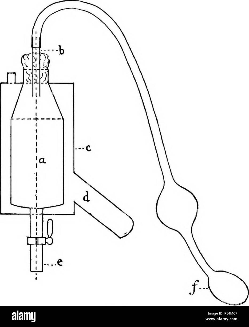 . Ein text-Buch der Bakteriologie. Die Bakteriologie. Kultur Medien. 45 Meter dick ist, platziert an der Unterseite dieser Zylinder und Warmwasser ist pourfed auf Ihre IT, während der absperrhahn des Auslassrohrs geöffnet ist. Dies wäscht die Baumwolle und bereitet die Filter für die Agar-Lösung. Das Gerät ist auf einem Stativ, in der Abbildung nicht gezeigt. Filtration ist so schnell auf, wenn die Luft in den mittleren Zylinder durch die Hand Faltenbalg am Rohr befestigt b komprimiert wird.. Abb. 18. Schultz' Bqpid Methode bei der Vorbereitung der Nährstoff Agar-Agar. - tausend fünf hundert Kubikzentimeter wat Ort Stockfoto