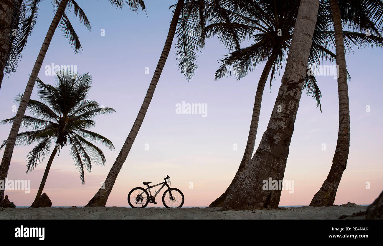 Sonnenuntergang Blick auf Palmen und Fahrrad auf den Strand von San Andrés, Kolumbien. Urlaub/ Reisen Konzept. Okt 2018 Stockfoto