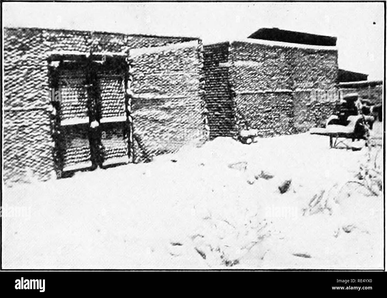 . Der nationale Standard squab Buch. Tauben. Anhang G 361 hungrige AUFRUF FÜR JUNGVÖGEL IN MONTANA, von W. M. Safley. Wir begannen in der Sitzfläche, Business im Mai 1908, mit zwei Hundert der Ply-Mund Rock Extra Homers. Wir haben jungvögel die meiste Zeit da verkauft, aber haben vier hundert, von denen etwa zwei hundert und fünfzig sind bei der Arbeit gespeichert. Wir haben über 40 verkauft - fünf Dutzend Jungvögel seit dem 1. Juni 1909. Es gibt keine Schwierigkeiten mit der Markt hier in Montana. Wir haben Viertel für tausend Vögel und ex-Pect bald die Häuser zu füllen. Ich bin im Geschäft zu bleiben. Wir sind derzeit immer $ 3,50 pro Dutzend f Stockfoto