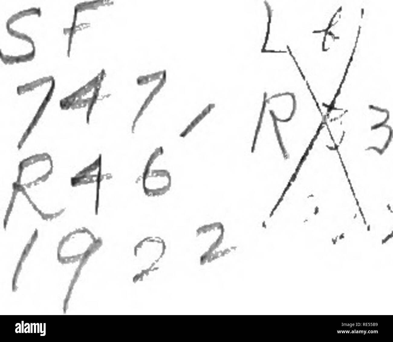 . Veterinärmedizin für landwirtschaftliche Studenten. Veterinärmedizin. J PE 1 NTEDS OP IN DEN VEREINIGTEN STAATEN VON AMERIKA" ft-.* ^ Copyright, 1910, und 1922, die von der MACMILLAN COMPANY. Einrichten und electrotyped. Dezember, 1910 veröffentlicht. August 1911 nachgedruckt. Achte Ausgabe.- Einrichten und electrotyped. November, 1922 veröffentlicht. Bitte beachten Sie, dass diese Bilder sind von der gescannten Seite Bilder, die digital für die Lesbarkeit verbessert haben mögen - Färbung und Aussehen dieser Abbildungen können nicht perfekt dem Original ähneln. extrahiert. Reynolds, Myron Herbert, 1865 -. New York, der Macmillan Co Stockfoto