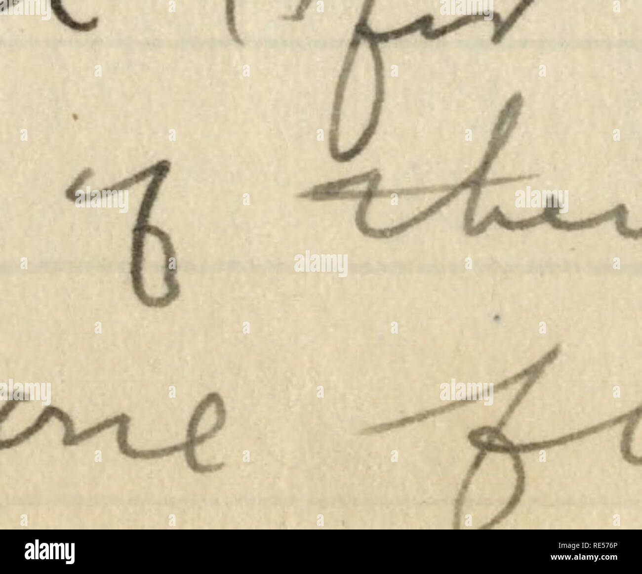 . Rollo Beck Galapagos expedition Journal, 1905-1906 (inklusive). Wissenschaftliche Expeditionen - Südamerika. ^ ich a^cL*n J^ eutA *<-V)^^^ Ein a-l-v-^e^-* Â £ r*-&amp; -Kin-^> IhG^ XlJi.  Z-- rvry * fi^<-Â £< ?  yiA - &Lt;L<^7-v^v, ur^^ jCi ^^Â"r. j'7.11 fe Haâ-sj^xJL oS^M^Ic weit l^ zJ c^ uo^ u Uj * lAjlK ^ Ich ... O-7-1.. ^.. n. j. '. Bitte beachten Sie, dass diese Bilder sind von der gescannten Seite Bilder, die digital für die Lesbarkeit verbessert haben mögen - Färbung und Aussehen dieser Abbildungen können nicht perfekt dem Original ähneln. extrahiert. Beck, Rollo Howard. Stockfoto