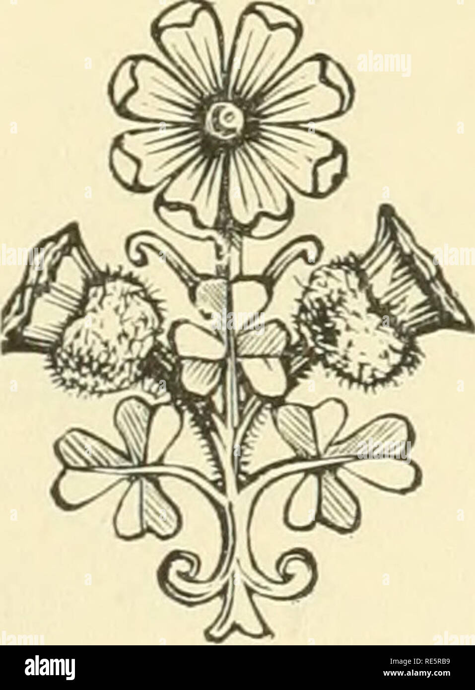 . Die Erde und ihre Bewohner... Geographie. Statistik von BELaiUM. 441 Der Geist des Vereins, whicli sehr mächtig ist unter den Flamen, könnten gut in pädagogischen Angelegenheiten gedreht werden und hat sich bereits sehr auf die moralischen und geistigen Verbesserung des Landes getan. Zahlreiche Kurse für Erwachsene eingerichtet wurden, und in einigen Städten von Flandern, die Sie von einem Zehntel der Bevölkerung besucht werden. Diese Klassen jedoch, die sich nicht streng an pädagogischen Angelegenheiten beschränken. Jeder Einwohner einer Stadt oder eines Dorfes liirge ist Mitglied einer oder mehrerer Verbände, Fou Stockfoto