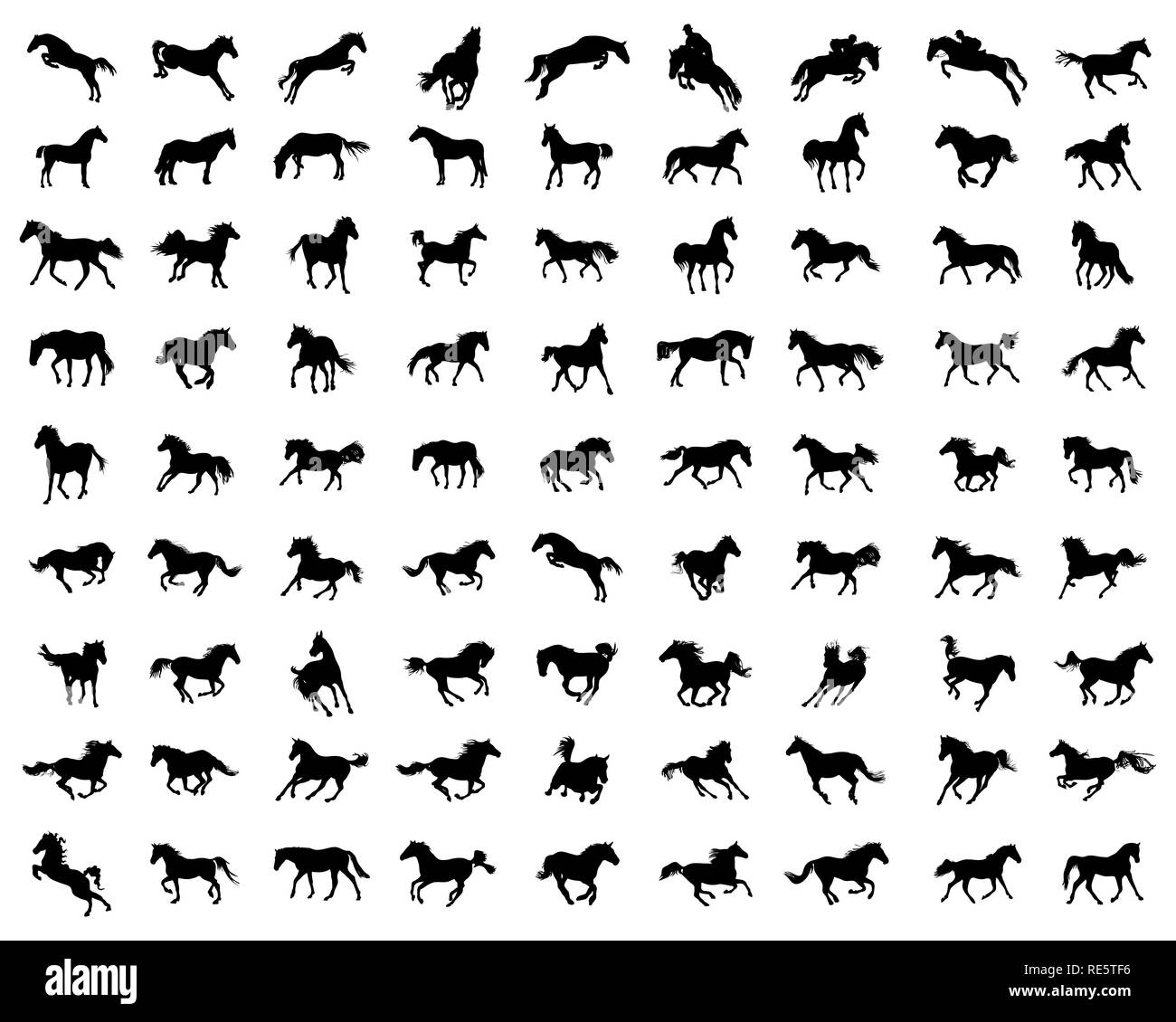 Große Pferde Silhouetten auf weißem Hintergrund Stockfoto