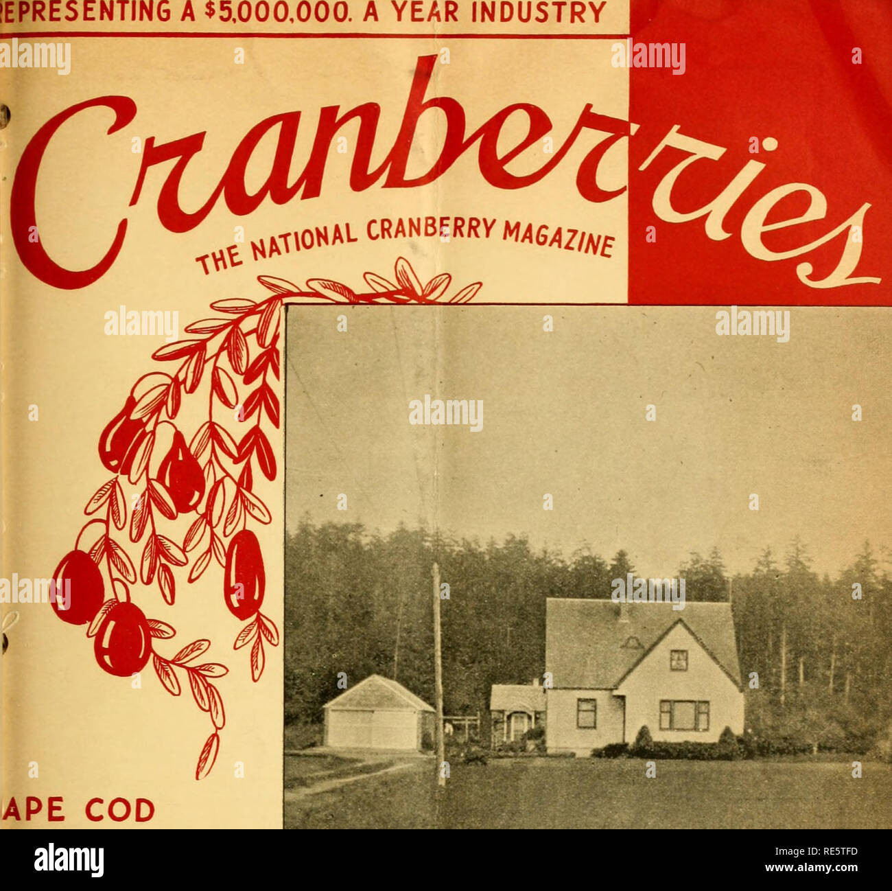 . Preiselbeeren;: die nationalen cranberry Magazin. Preiselbeeren. ^ Eine 5.000.000 $. Ein Jahr der Industrie. APE COD * EW JERSEY WISCONSIN OREGON WASHINGTON BaEH - Jhk - U Bitte beachten Sie, dass diese Bilder sind von der gescannten Seite Bilder, die digital für die Lesbarkeit verbessert haben mögen - Färbung und Aussehen dieser Abbildungen können nicht perfekt dem Original ähneln. extrahiert. Portland, CT [etc. ]: Taylor Pub. Co [etc. ] Stockfoto