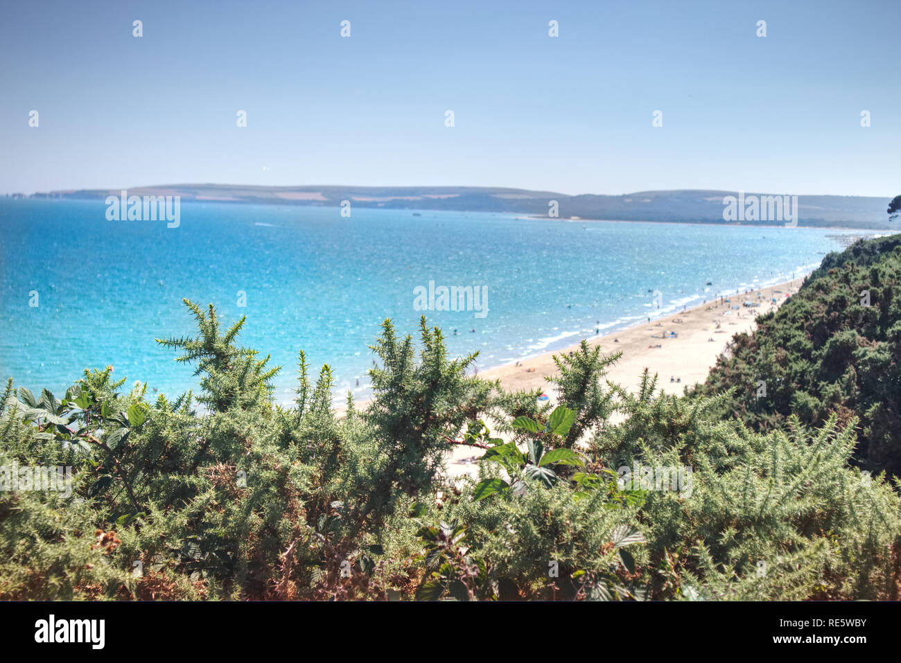 Ein Foto von der UNESCO Jurassic Coast und Canford Cliff Beach auf der Spitze einer Klippe. Foto im Canford Klippen, Dorset, England, Stockfoto