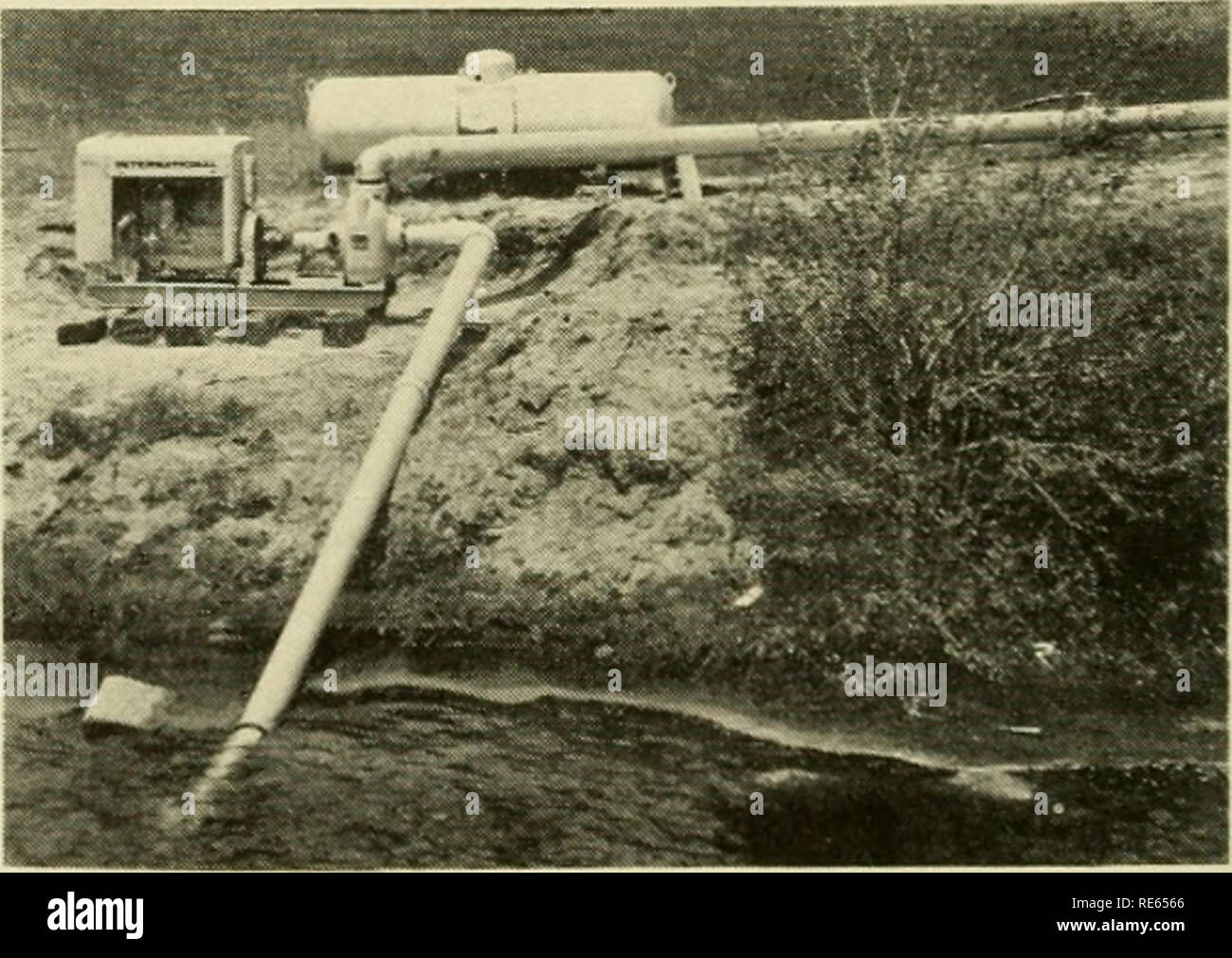 . Preiselbeeren;: die nationalen cranberry Magazin. Preiselbeeren. Spezielle ***** SELBSTANSAUGENDE PUMPEN FÜR AUTOMATISIERTE SYSTEME ZUR REINIGUNG DES ROTIERENDEN SIEBE L.P. Benzin- oder Dieselmotor 1 H.P. - 1000 H. S.. Kostenlose Schätzungen!!!!!!!! Es kostet Sie nichts, aboU diese moderne AUSRÜSTUNG FÜR IHRE CRANBERRY BEWÄSSERUNG zu finden. Wenden Sie sich an Bill Stearns 99 WARREN AVENUE PLYMOUTH, Masse. Kontakt LARCHMONT ENGINEERING PHIL TROPEANO LEXINGTON, Mass. 746-2610 LARCHMONT ENGINEERING LEXINGTON MASSACHUSETTS 0217 16. Bitte beachten Sie, dass diese Bilder aus gescannten Seite Bilder, die digital verbesserte fo wurden extrahiert werden Stockfoto