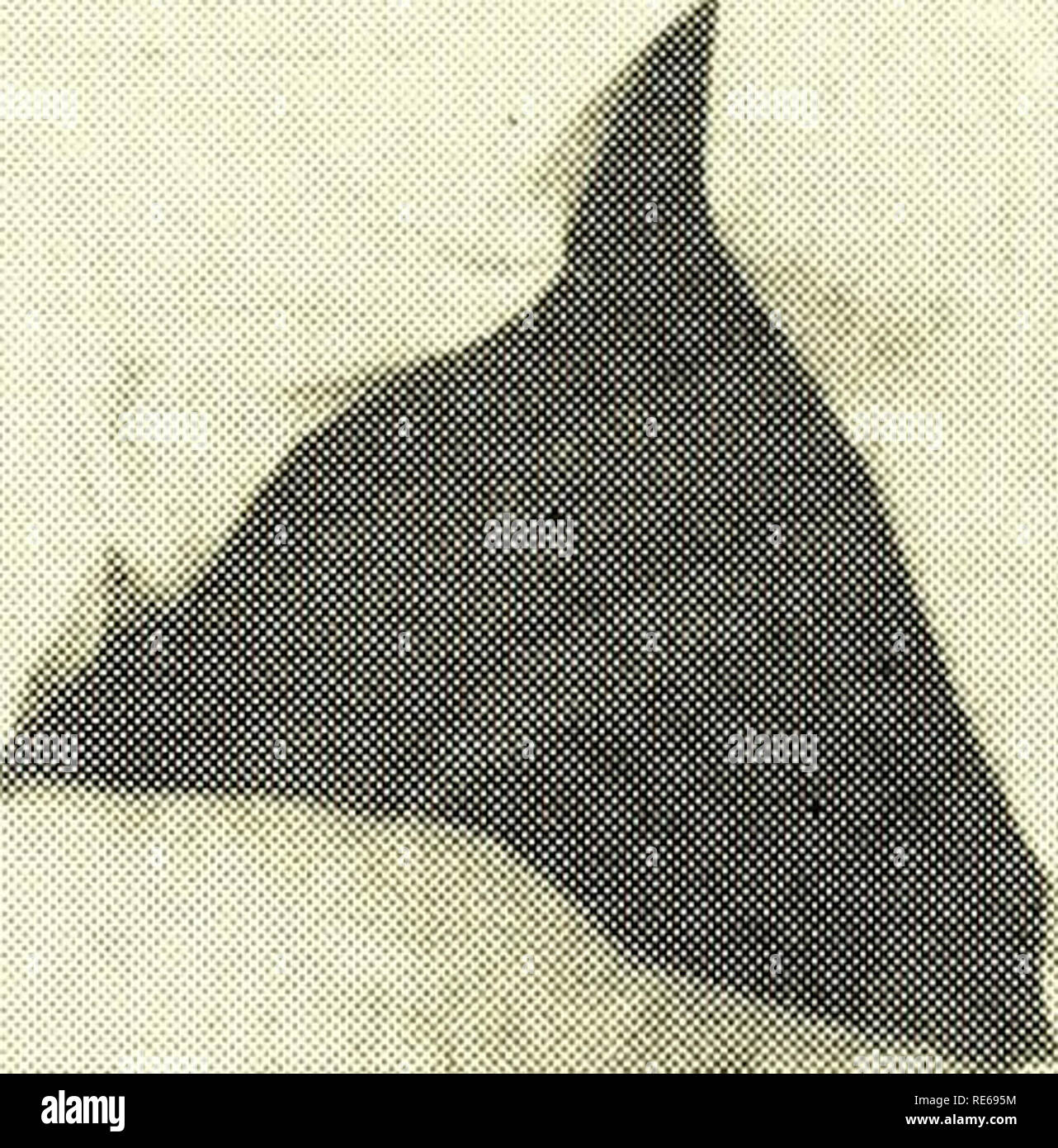 . Preiselbeeren;: die nationalen cranberry Magazin. Preiselbeeren. INIVERSIT nSSACH^ PE COD EW JERSEY msCONSIN OREGON WASHINGTON KANADA. MAYNARD O. HOLMES, östlichen Production Manager von Ocean Sprj (CRANBERRIES PI 40 Cents Januar, 1965. Bitte beachten Sie, dass diese Bilder sind von der gescannten Seite Bilder, die digital für die Lesbarkeit verbessert haben mögen - Färbung und Aussehen dieser Abbildungen können nicht perfekt dem Original ähneln. extrahiert. Portland, CT [etc. ]: Taylor Pub. Co [etc. ] Stockfoto