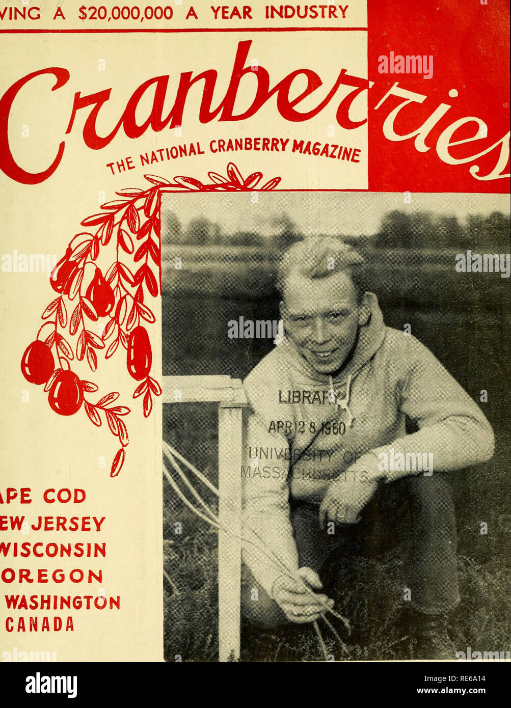 . Preiselbeeren;: die nationalen cranberry Magazin. Preiselbeeren. /INC EIN $ 20.000.000 PRO JAHR INDUSTRIE. lpe Cod ew Jersey yisconsin OREGON WASHINGTON KANADA ROBERT A. ALBERGHINI, einer echten Cranberry Booster. (CRANBERRIES 35 Cents APRIL 1960. Bitte beachten Sie, dass diese Bilder sind von der gescannten Seite Bilder, die digital für die Lesbarkeit verbessert haben mögen - Färbung und Aussehen dieser Abbildungen können nicht perfekt dem Original ähneln. extrahiert. Portland, CT [etc. ]: Taylor Pub. Co [etc. ] Stockfoto