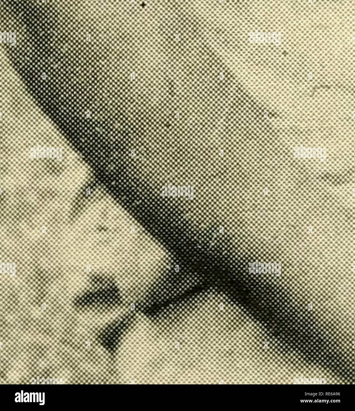 . Preiselbeeren;: die nationalen cranberry Magazin. Preiselbeeren. APE COD^ EW JERSEY WISCONSIN OHIO WASHINGTO KANADA. " •'. Bitte beachten Sie, dass diese Bilder sind von der gescannten Seite Bilder, die digital für die Lesbarkeit verbessert haben mögen - Färbung und Aussehen dieser Abbildungen können nicht perfekt dem Original ähneln. extrahiert. Portland, CT [etc. ]: Taylor Pub. Co [etc. ] Stockfoto