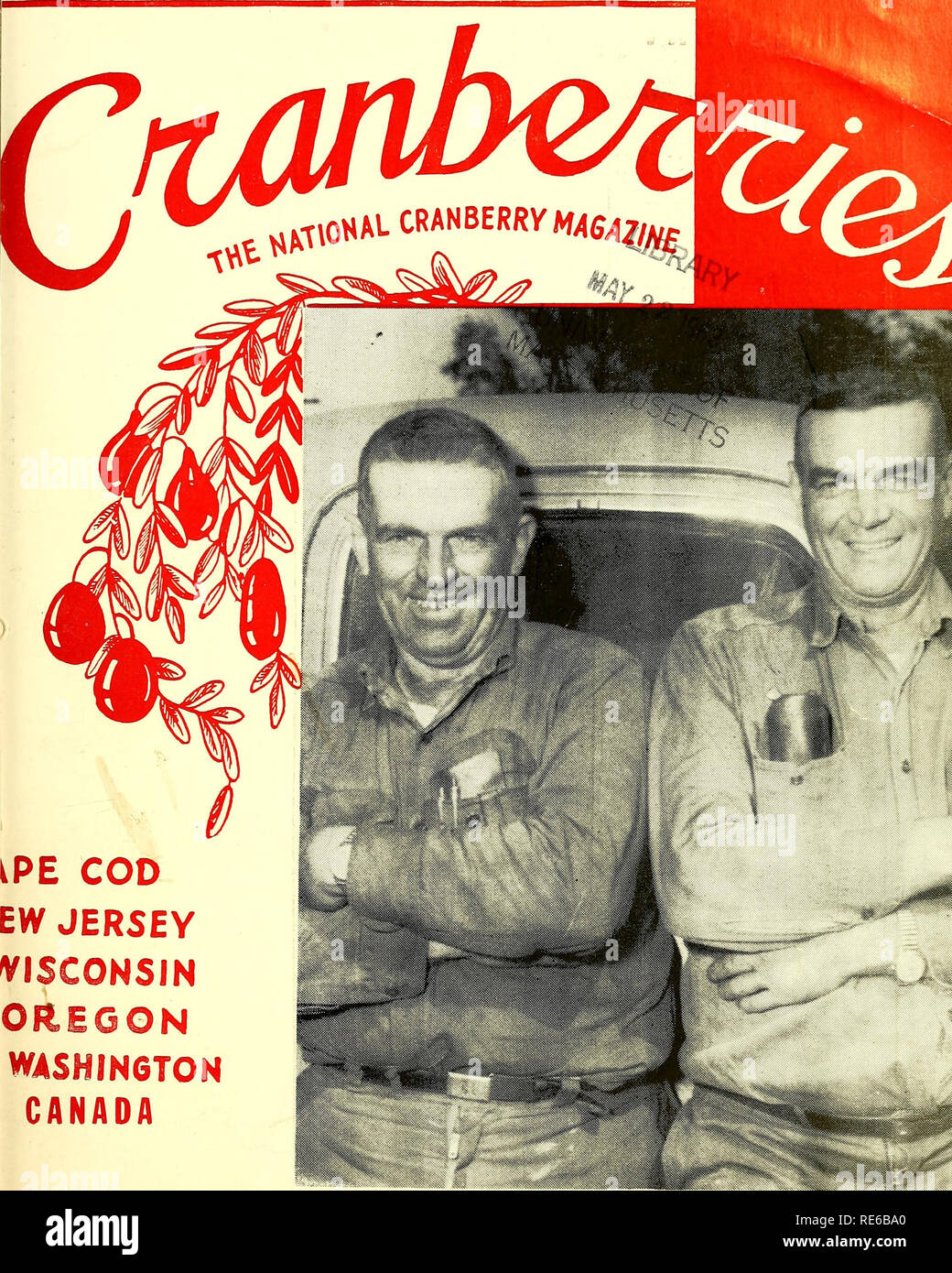 . Preiselbeeren;: die nationalen cranberry Magazin. Preiselbeeren. RVINC ein $ 40.000.000 PRO JAHR INDUSTRIE. iPE COD EW JERSEY ViSCONSIN OREGON KANADA ZWEI VON VIER WESTON BRÜDER IN PREISELBEEREN, Homer und Rogei Massachusetts. (CRANBERRIES PI 35 Cents MAI 1963. Bitte beachten Sie, dass diese Bilder sind von der gescannten Seite Bilder, die digital für die Lesbarkeit verbessert haben mögen - Färbung und Aussehen dieser Abbildungen können nicht perfekt dem Original ähneln. extrahiert. Portland, CT [etc. ]: Taylor Pub. Co [etc. ] Stockfoto