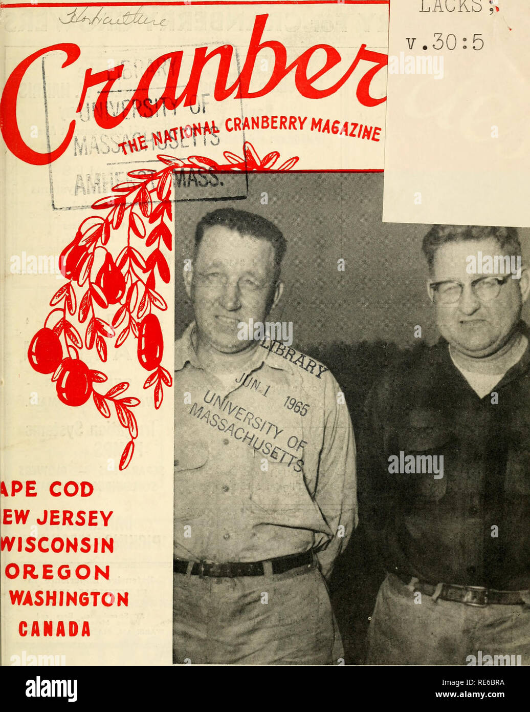 . Preiselbeeren;: die nationalen cranberry Magazin. Preiselbeeren. RVINC ein $ 40.000.000 PRO JAHR INDUSTRIE PE COD EW JERSEY IVISCONSIN OREGON WASHINGTON KANADA FEHLT t" V.30: 5. WILHO und EINO HARJU - Gute Cranberry Züchter von Carver, Massachusetts. Preiselbeeren Phot 40 Cent Mai, 1965. Bitte beachten Sie, dass diese Bilder sind von der gescannten Seite Bilder, die digital für die Lesbarkeit verbessert haben mögen - Färbung und Aussehen dieser Abbildungen können nicht perfekt dem Original ähneln. extrahiert. Portland, CT [etc. ]: Taylor Pub. Co [etc. ] Stockfoto