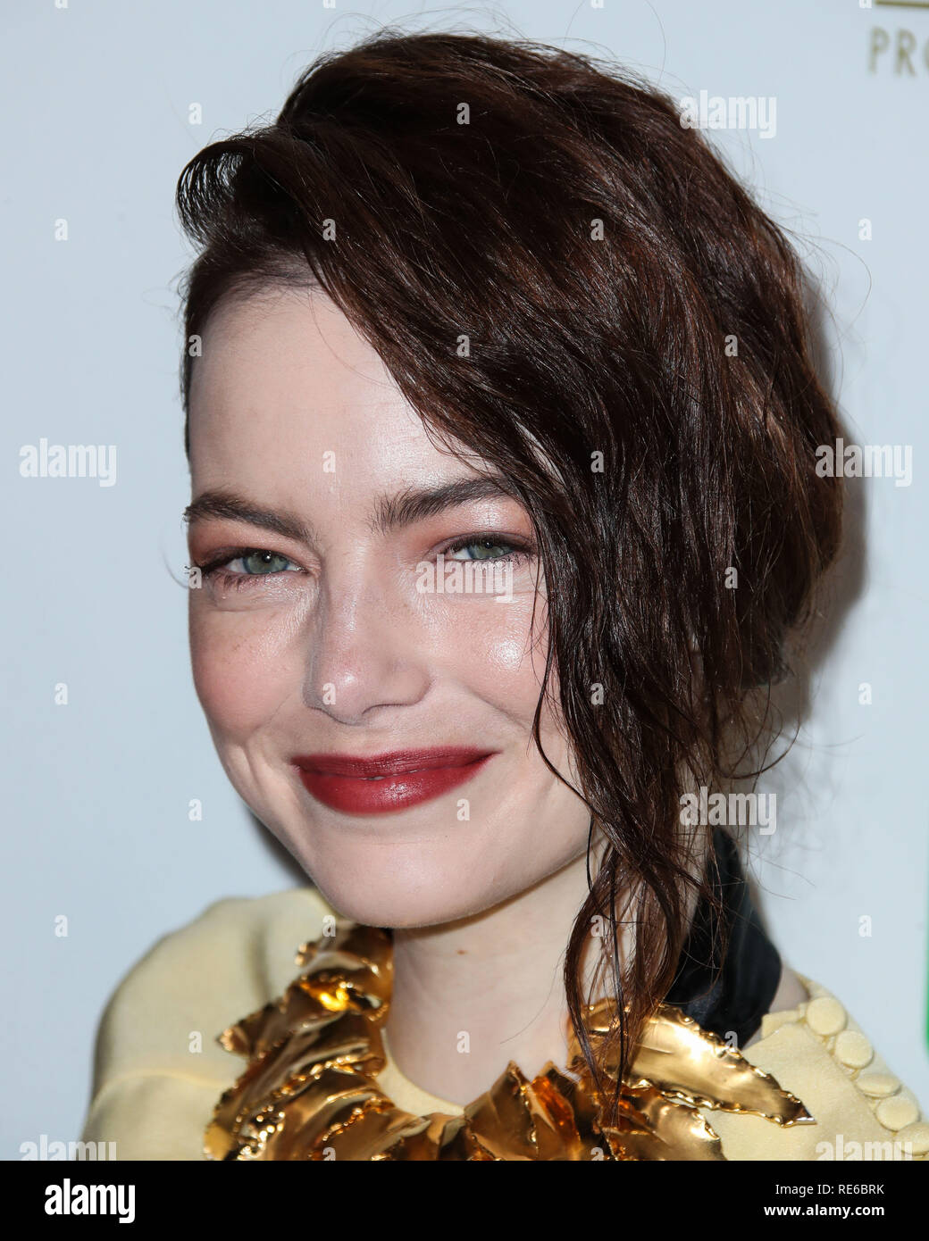 Los Angeles Usa 19 Jan 2019 Schauspielerin Emma Stone