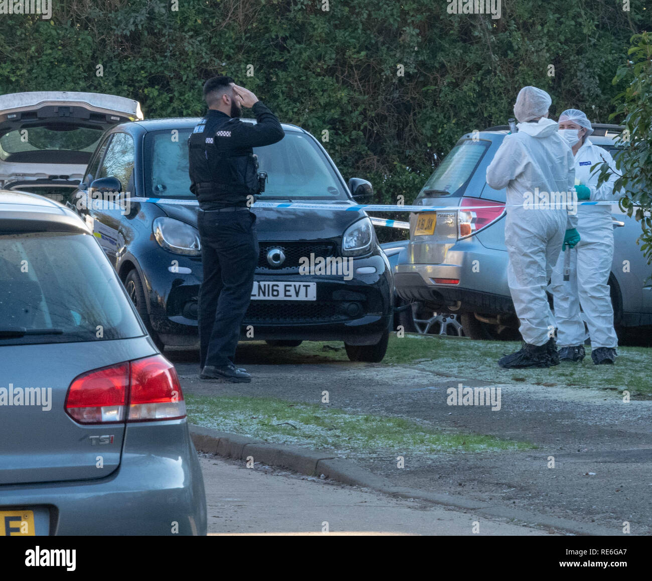 Essex, UK. 20. Januar 2019 Essex Polizei ermittelt gegen einen angeblichen Erstechen an einem Haus in Doddinghurst Brentwood Essex. Ein 20 Jahre alter Mann hat wegen des Verdachts der GBH Credit Ian Davidson/Alamy Leben Nachrichten verhaftet worden Stockfoto