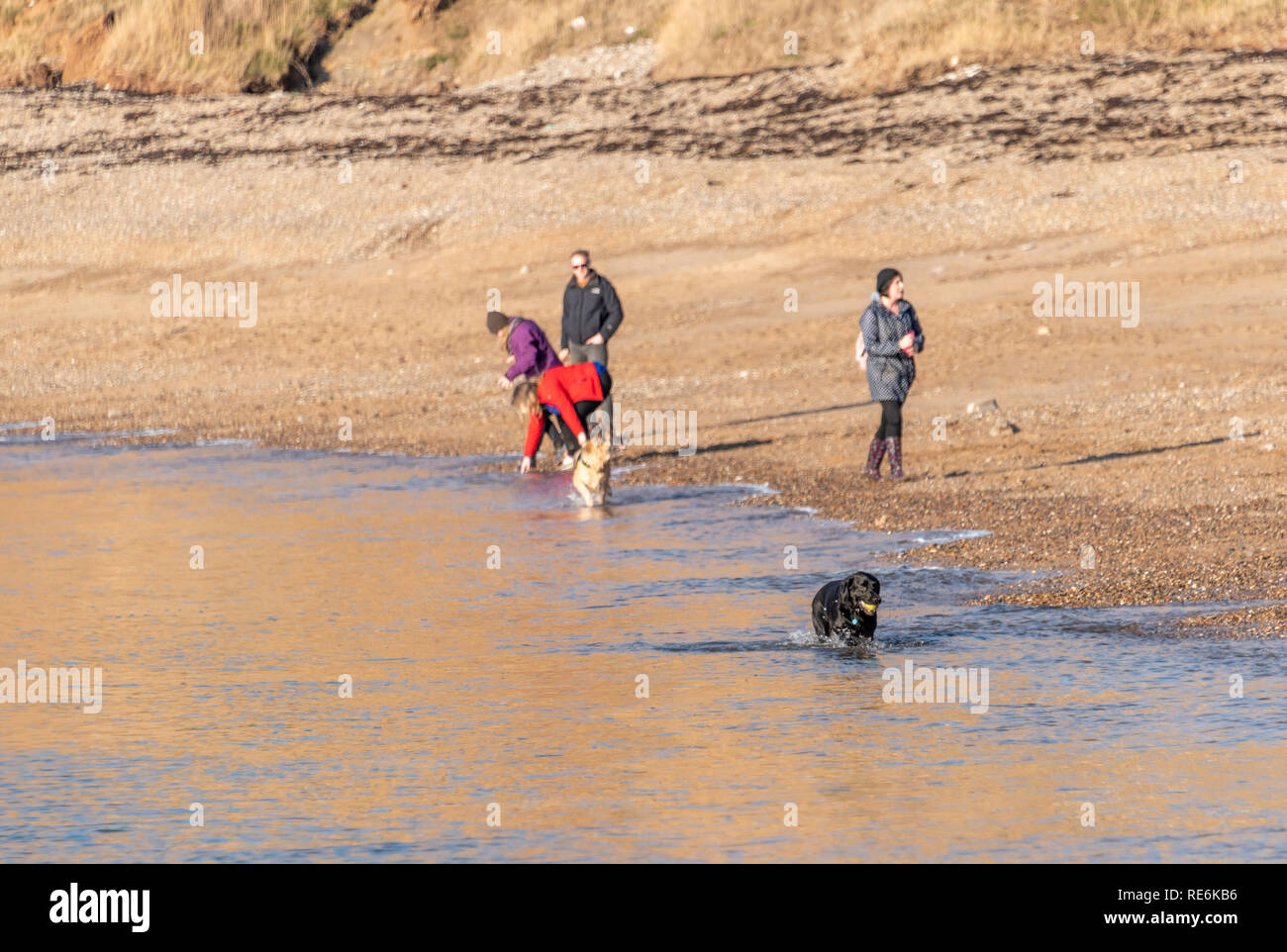 Wareham, Großbritannien. Sonntag 20. Januar 2019. Besucher genießen Sie die Wintersonne bei Worbarrow Strand an der Jurassic Coast in Dorset. Die Menschen sind warm eingepackt Im 4 Grad kalten aber sonnigen Wetter. Quelle: Thomas Faull/Alamy leben Nachrichten Stockfoto