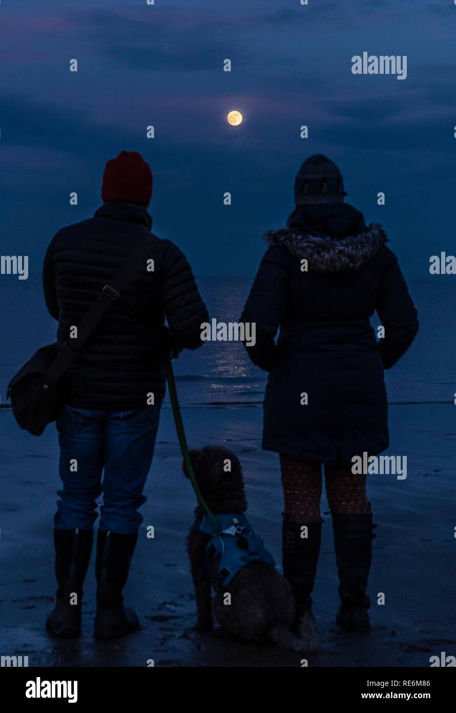 Edinburgh, Großbritannien. Jan, 2019 20. Ein Paar und ihr Hund den Blick in das Blut Wolf Mond über dem Strand an der Portobello in der Nähe von Edinburgh. In den frühen Stunden des Morgens, der Mond wird Rot wie Großbritannien Erfahrungen der letzten Mondfinsternis für 10 Jahre. Credit: Rich Dyson/Alamy leben Nachrichten Stockfoto